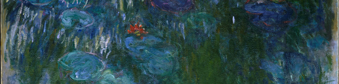water lilies 1916 19