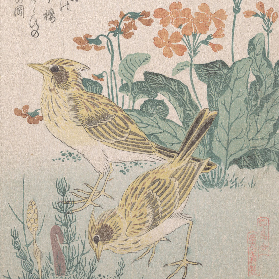 鳥合 桜草に雲雀 skylarks and primroses from the series an array of birds tori awase from spring rain surimono album harusame surimono jo vol 3 19th cen