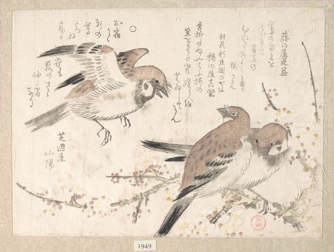 sparrows and plum blossoms 19th cen